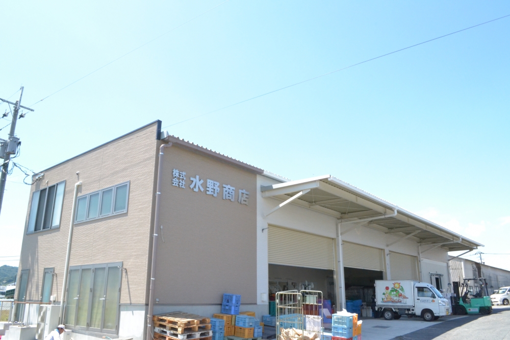 熊本の野菜商 水野商店